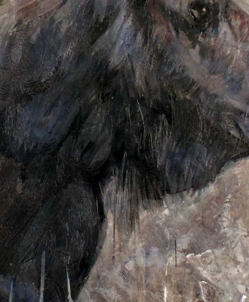 Algonquin Moose  Limited Edition Print 